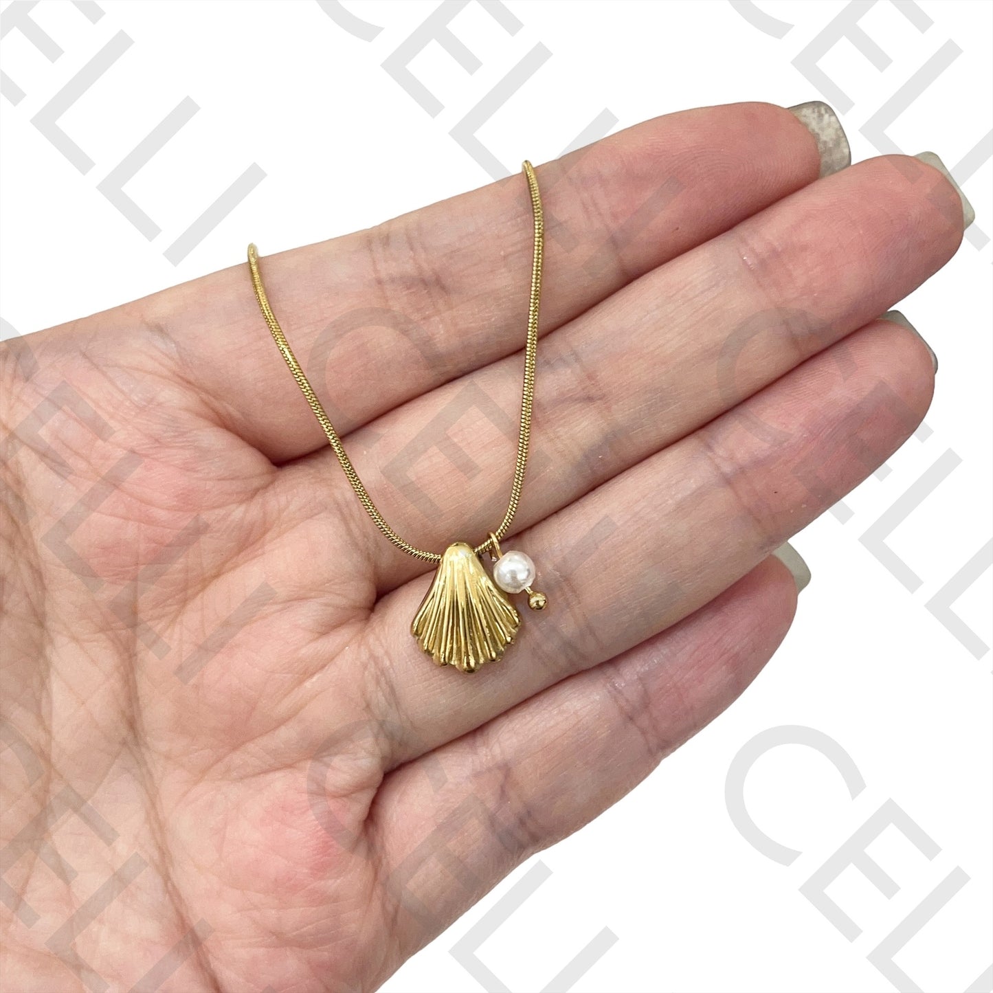 Steel Necklace - Shell