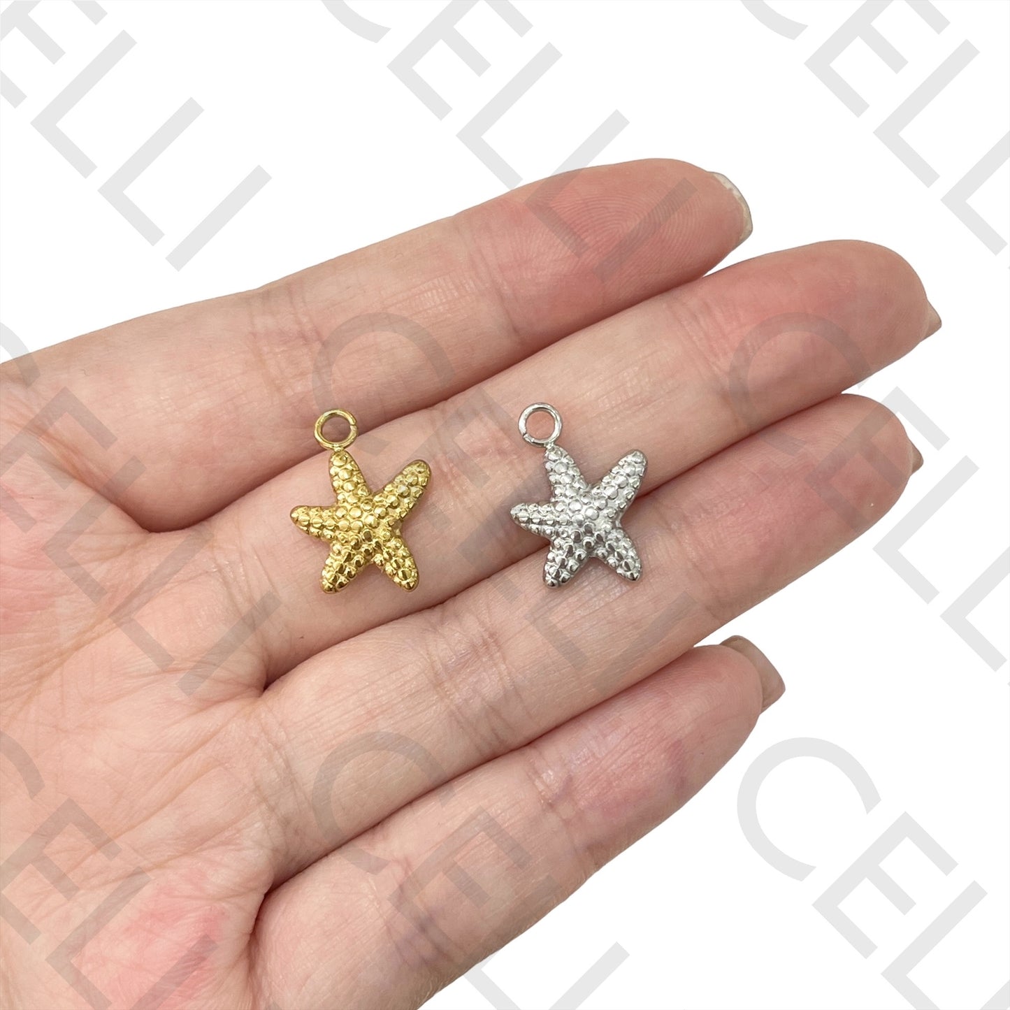 Medalha de Aço - estrela do mar