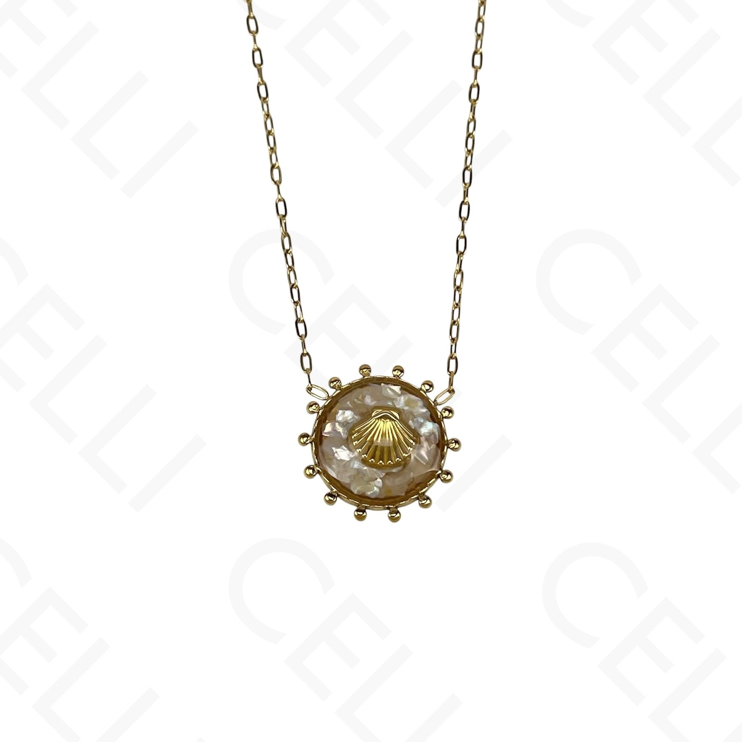 Collar de acero - concha esmaltada