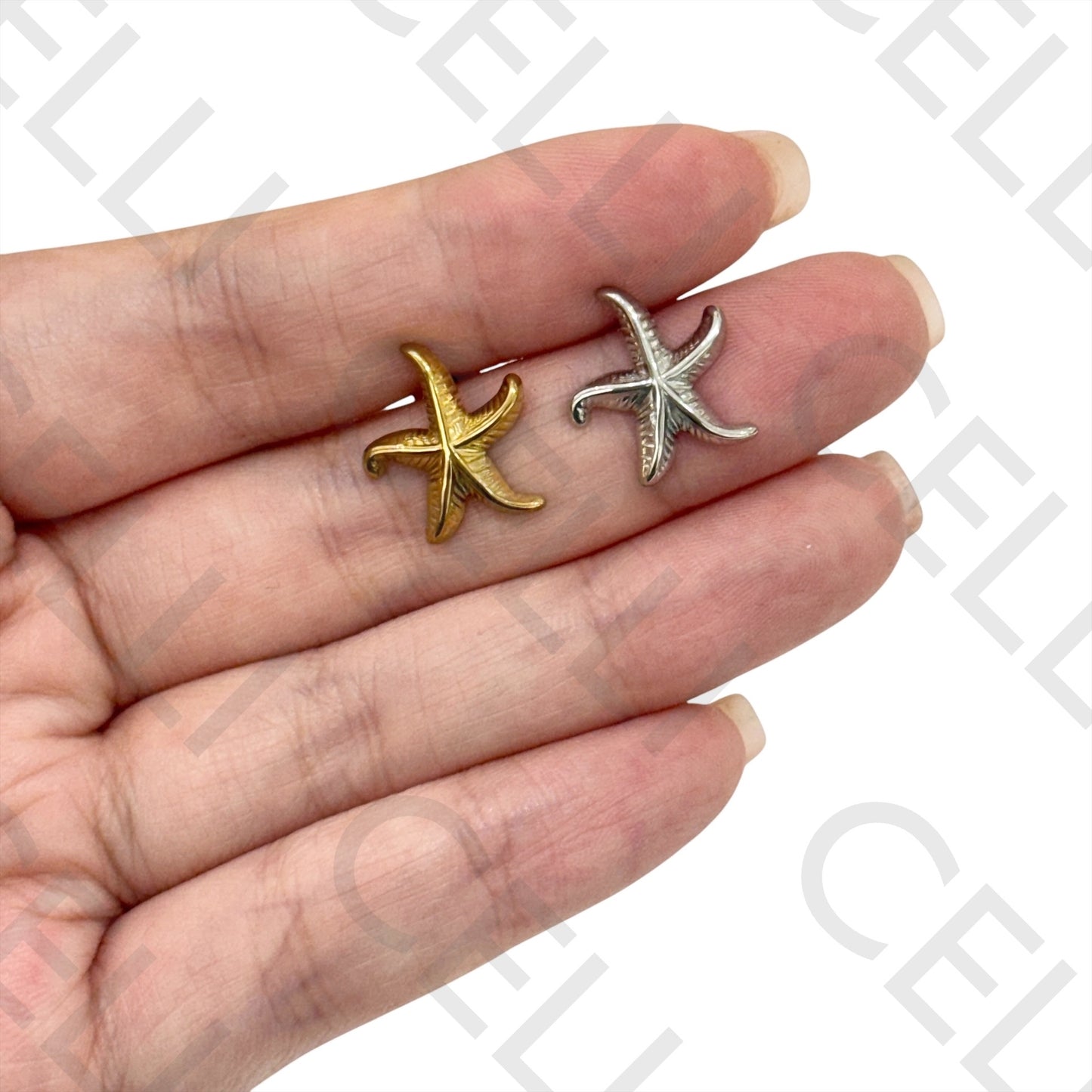 Brinco de Acero - estrella de mar