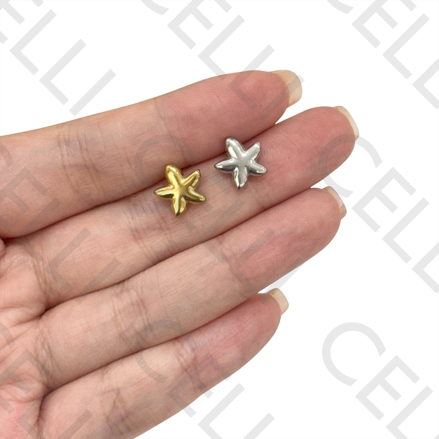 Brinco de Acero - estrella de mar