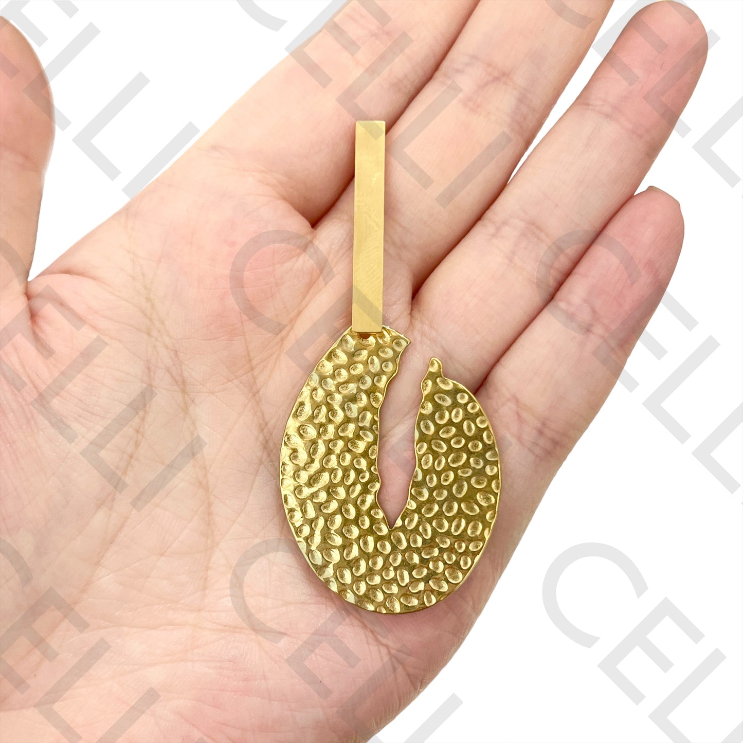 Steel Earring - detailed