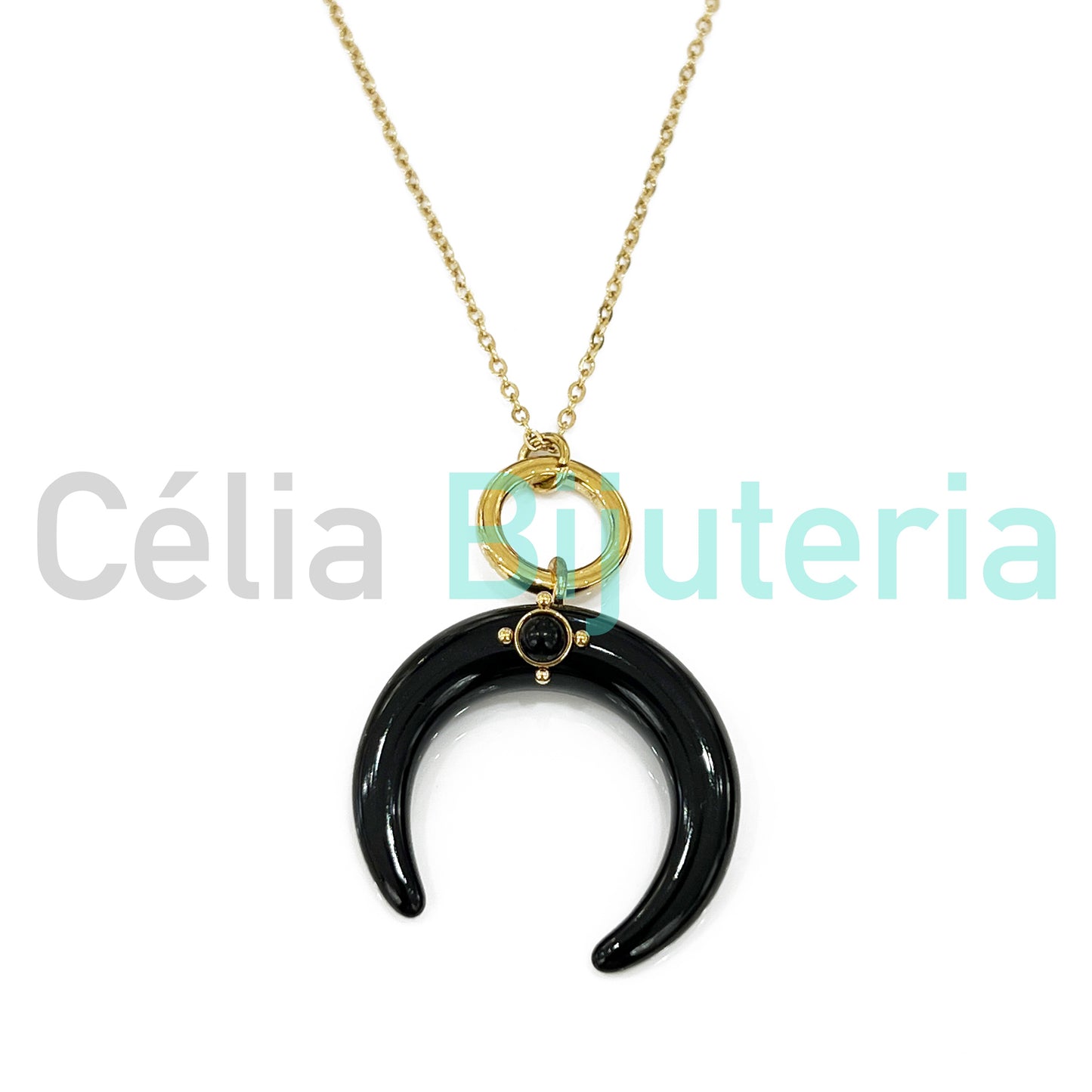 Steel Necklace with Horn