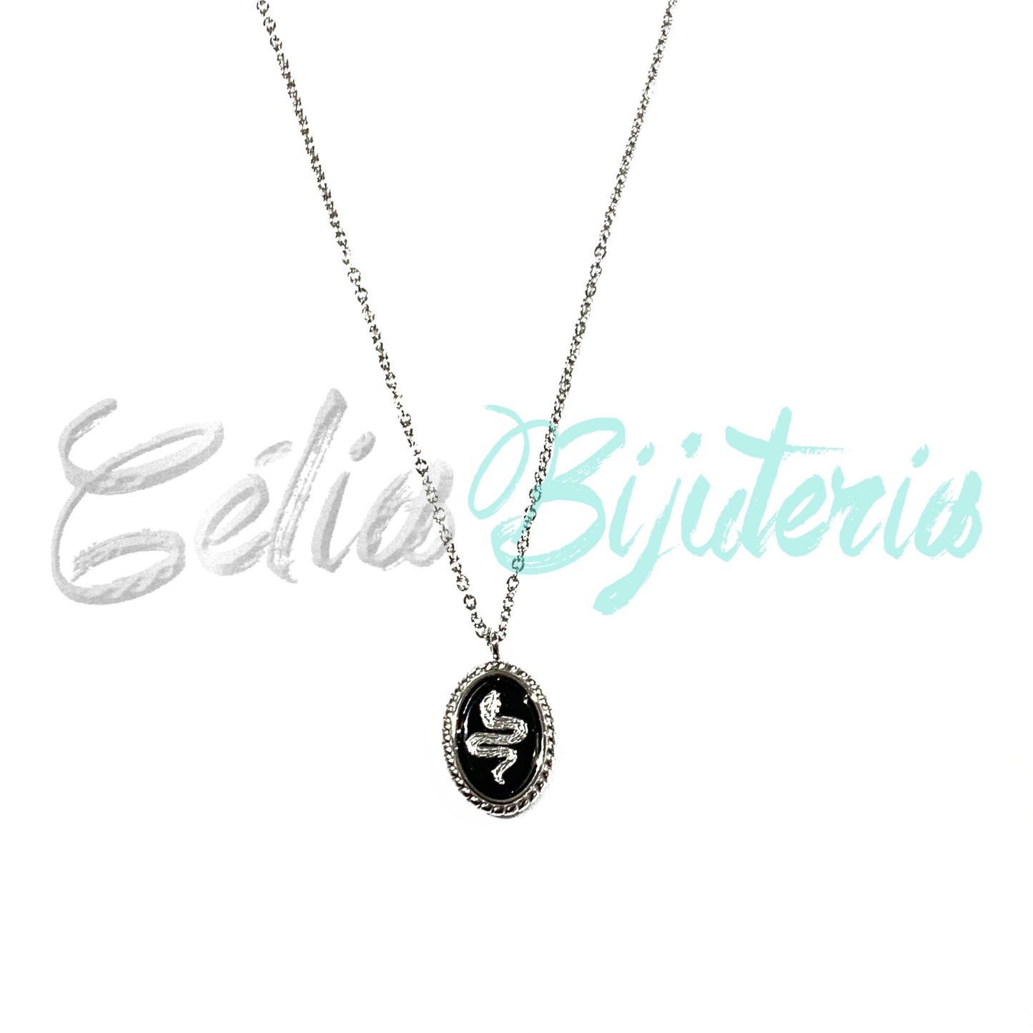 Colar de Aço com medalha de aço