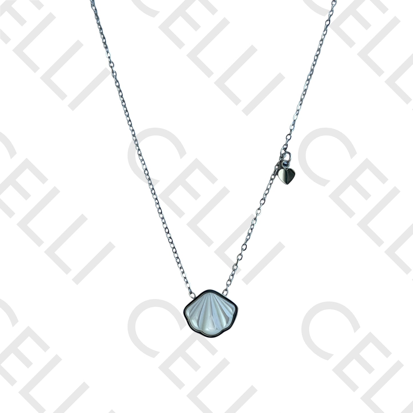 钢制胶 - 带母贝的贝壳