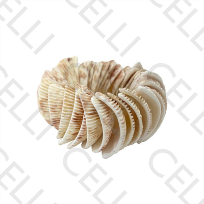 Pulseira de Moda - Conchas (elástico)