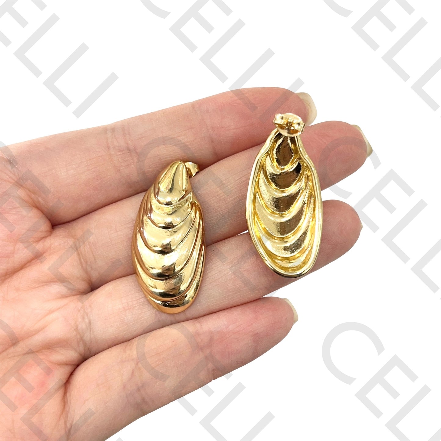 Steel Earring - mussel