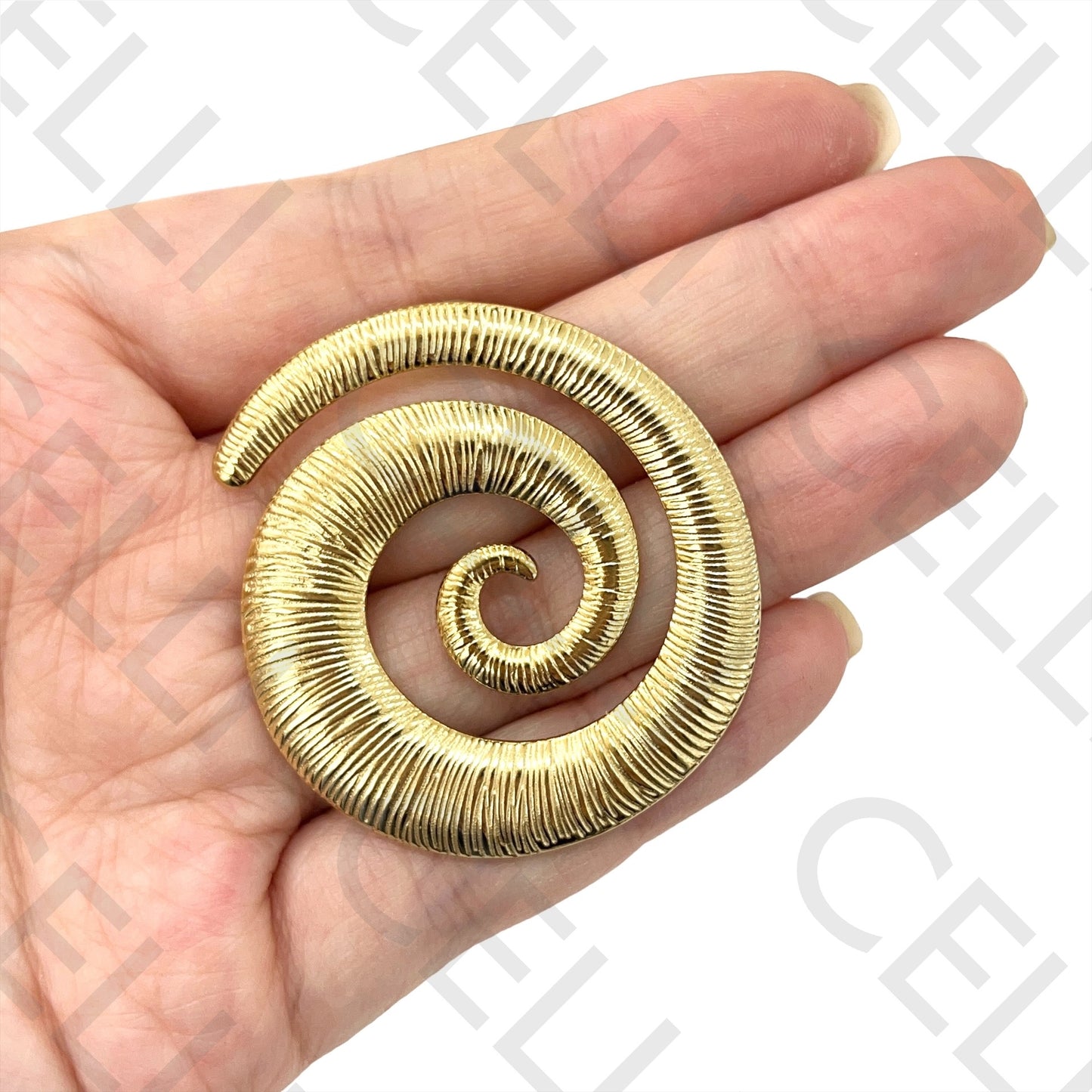 Steel Earring - worked snail