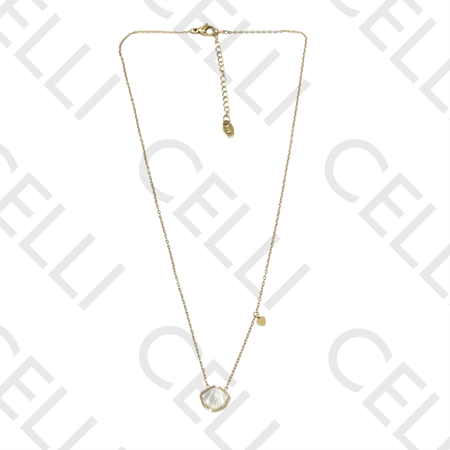 钢制胶 - 带母贝的贝壳