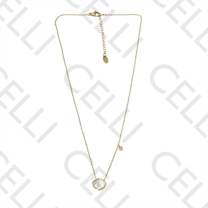 钢制胶 - 带母贝的贝壳