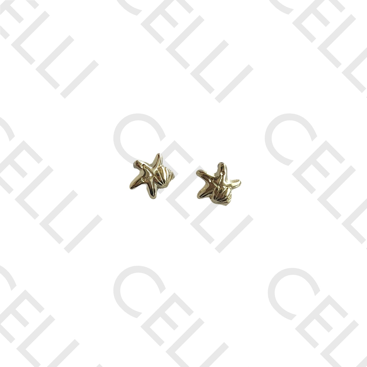 Steel Earring - Mini Starfish and Shell