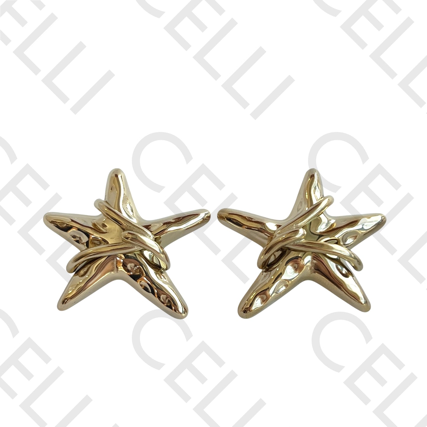 Brinco de Acero - estrella de mar