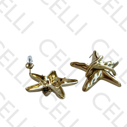 Brinco de Acero - estrella de mar