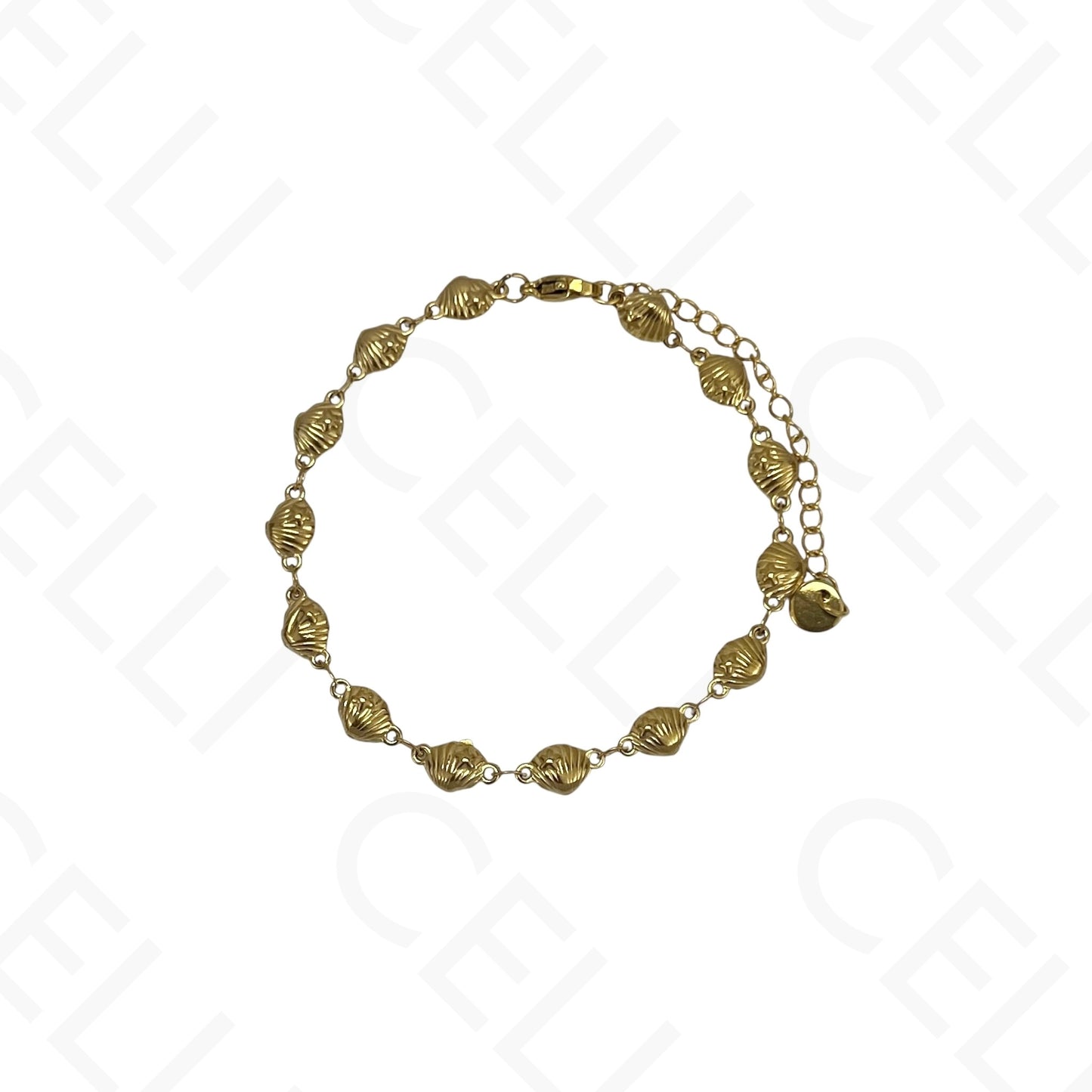 Collar/Pulsera/Tobillera de acero - Concha y estrella de mar