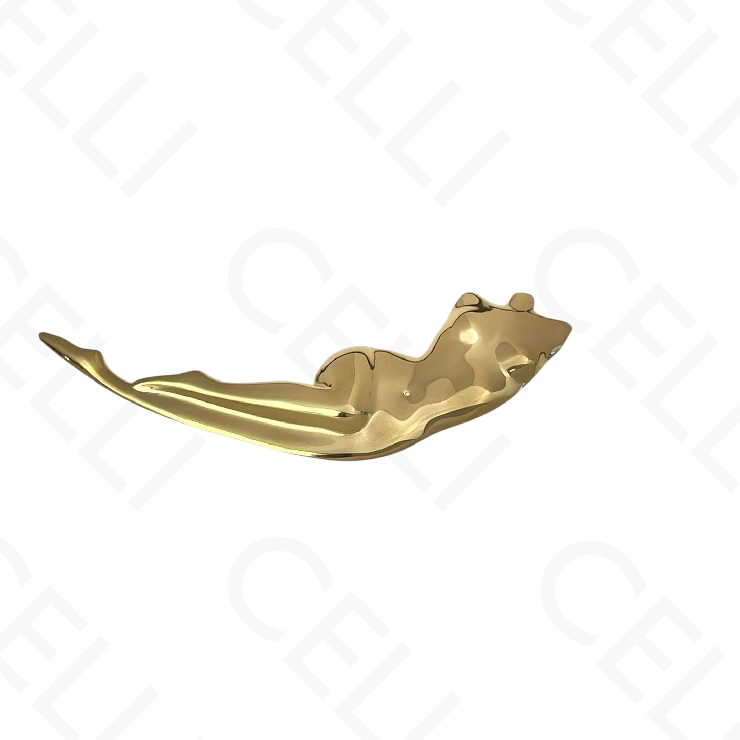 Correa para maleta/bolso