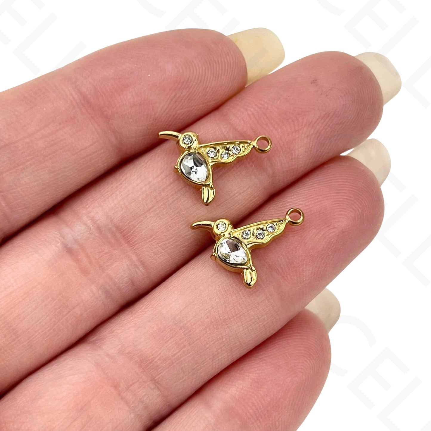 Medalla de Acero - concha con estrella de mar (1 und.)