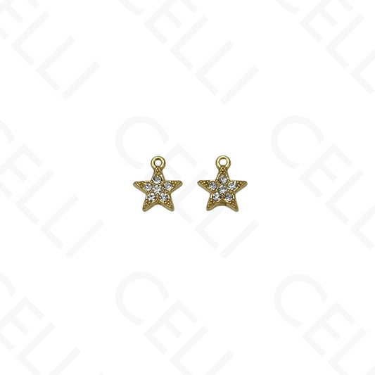 钢制奖章 - 带海星的贝壳 (1个)