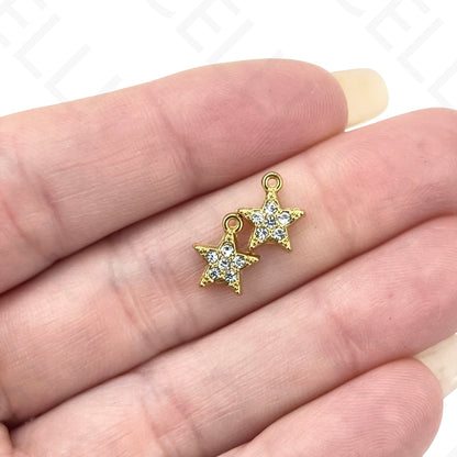 钢制奖章 - 带海星的贝壳 (1个)