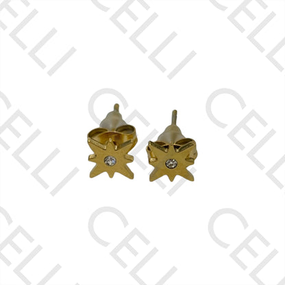 Steel Earring with Charm - Star with Brilliant