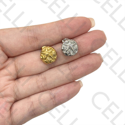 Brinco de Acero - estrella de mar