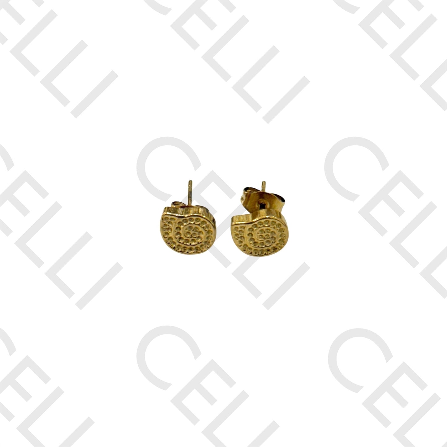 Salto de Acero - caracol buccino