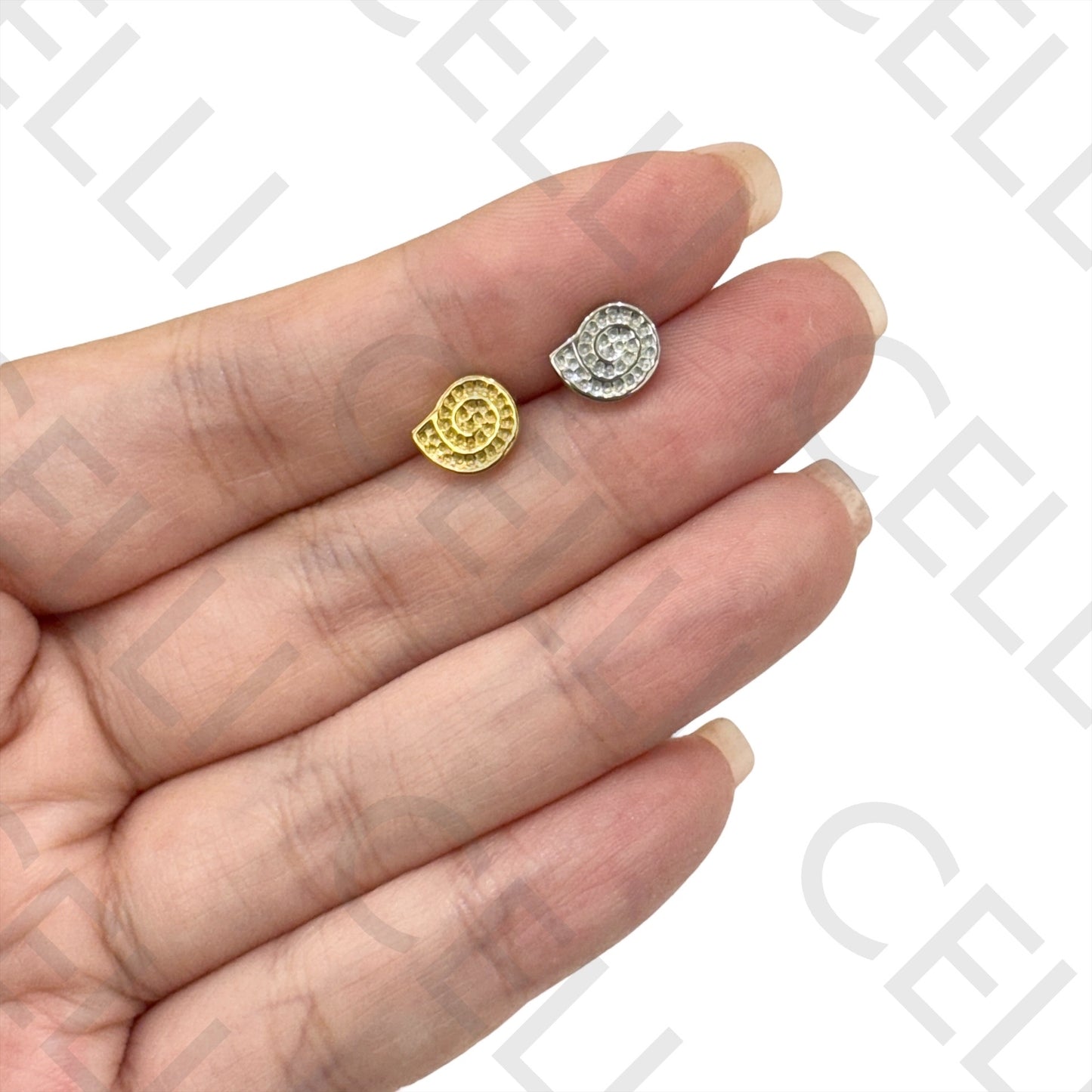 Salto de Acero - caracol buccino