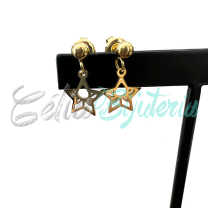 Brinco de Aço Mini com Medalha - estrela com flor